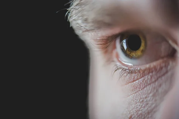 Close-up shot van iemands juiste bruine oog in focus — Stockfoto