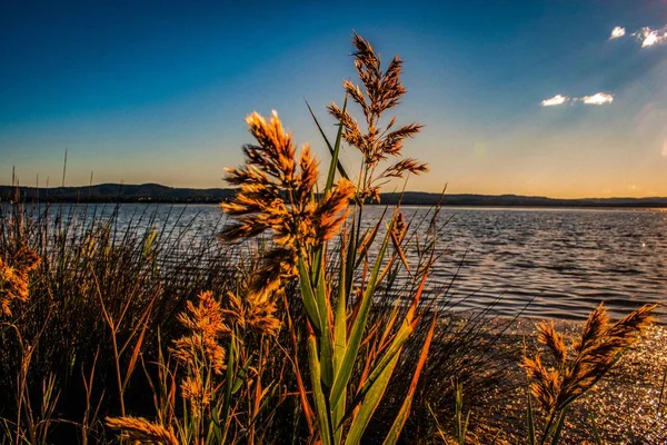 Een Mooie Foto Van Hoog Groen Buurt Van Kust Van — Stockfoto