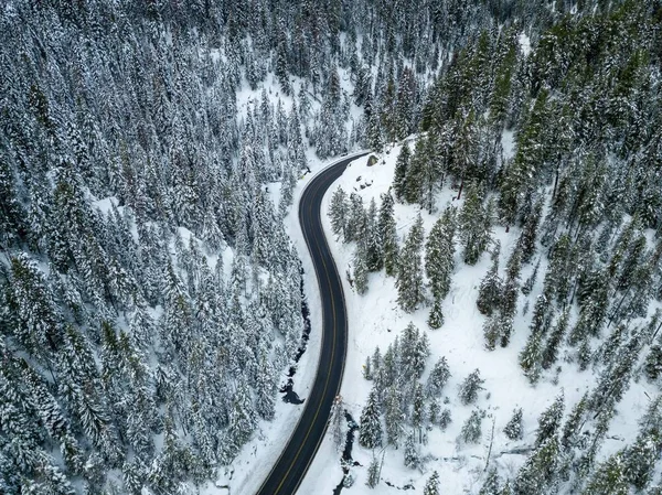 雪に覆われた松の木の近くの道路の空中写真 — ストック写真