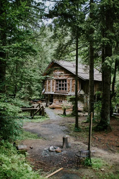 Vertical shot of a wooden cabin in the woods surrounded by tall trees on a sunny day — Stock Photo, Image