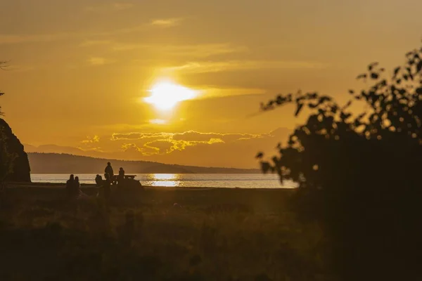 Bela paisagem tiro de um grupo de pessoas sentadas na grama junto ao mar durante o pôr do sol — Fotografia de Stock