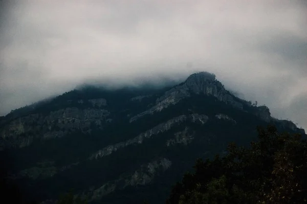 Tiro aéreo largo de montanhas cercadas por árvores abaixo de um céu nebuloso — Fotografia de Stock