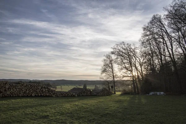 Amplio tiro de leña en un campo de hierba rodeado de árboles durante el atardecer —  Fotos de Stock