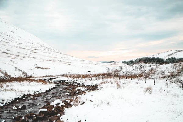Beaux paysages de collines blanches et de forêts à la campagne en hiver — Photo