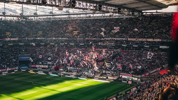 Futbol stadyumunda tezahürat oturan insanların güzel atış — Stok fotoğraf