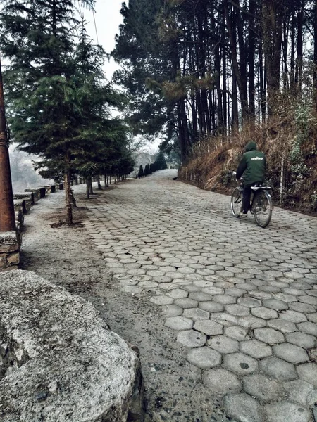 Masculino com uma jaqueta verde montando uma bicicleta em um caminho perto de uma colina com árvores — Fotografia de Stock