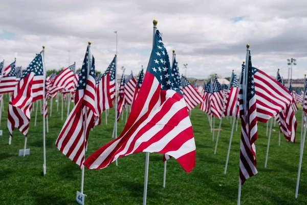 Vackert grönt fält med rader av amerikanska flaggor i det under en molnig himmel — Stockfoto