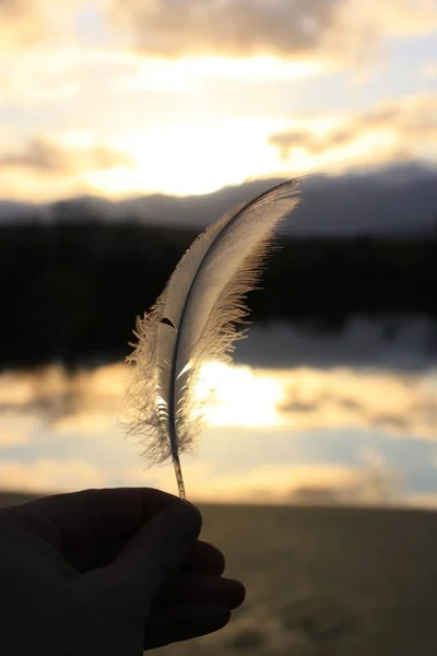 日没時に湖の背景に白い羽を持つ人の垂直クローズアップショット — ストック写真