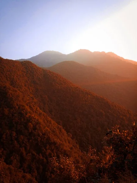 Verticaal schot van beboste bergen met bruine bladeren bomen onder een heldere hemel — Stockfoto