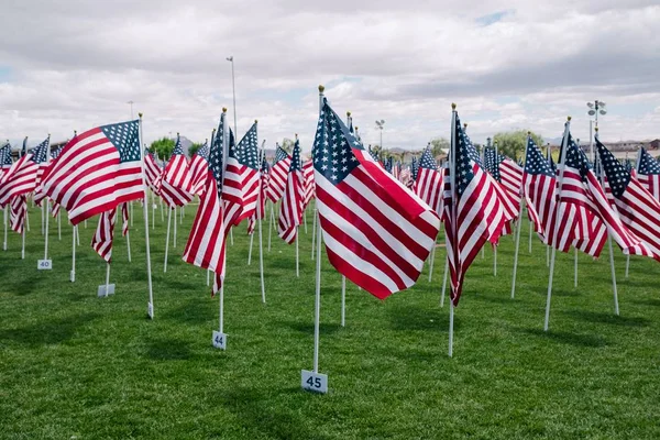 Vackert grönt fält med rader av amerikanska flaggor i det under en molnig himmel — Stockfoto