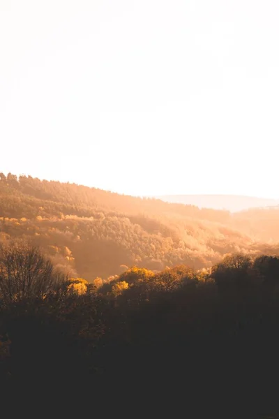 Beautiful shot of brown trees and greenery on hills and mountains in the countryside at sunset — Stock Photo, Image