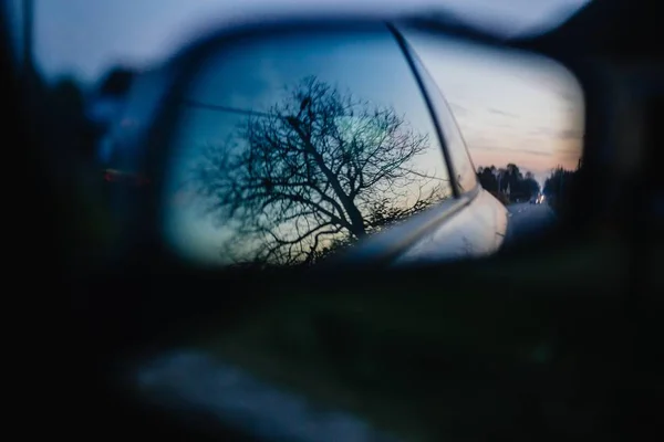 Krásný záběr stromu odrážející se v postranním zrcátku auta s rozmazaným pozadím — Stock fotografie