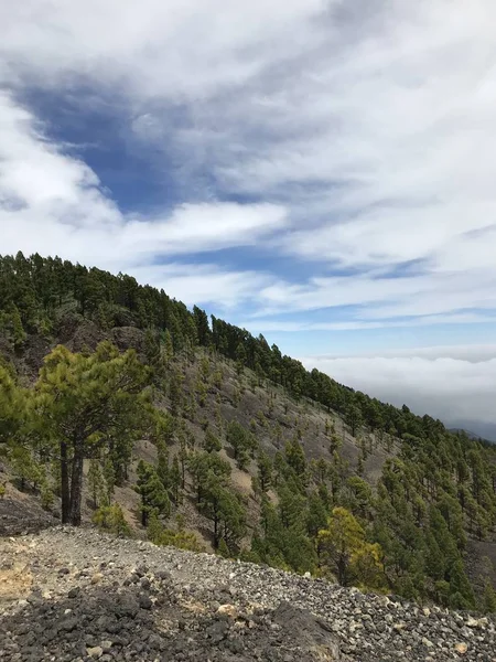 Vertikale Aufnahme von mit grünen Bäumen bedeckten Bergen unter blauem Himmel mit Wolken — Stockfoto