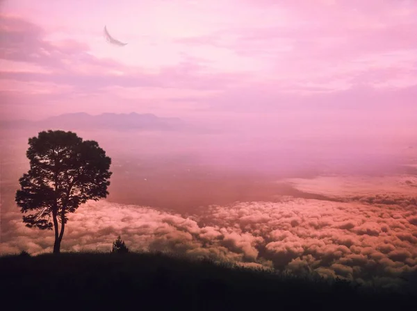 Silhouette d'un arbre sur une colline herbeuse au-dessus des nuages avec un ciel violet clair en arrière-plan — Photo