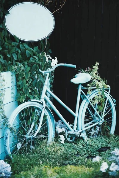 Primo piano verticale di una bicicletta azzurra vicino a piante verdi — Foto Stock