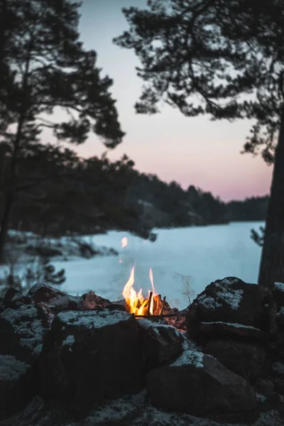Verticaal mooi shot van een klein kampvuur in een bos met een prachtig uitzicht wazig op de achtergrond — Stockfoto
