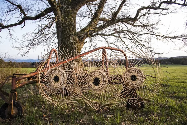 Heuwender Auf Einer Wiese Steht Unter Einem Plattlosen Baum Abendstimmung — Stockfoto