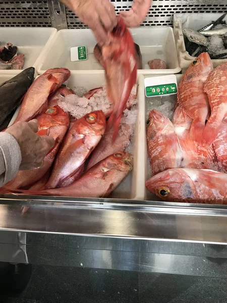 Вертикальний крупним планом постріл замороженої червоної риби на продаж на ринку — стокове фото