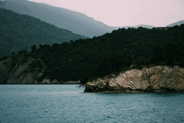 Deniz Kenarında Yeşil Ağaçlarla Kaplı Bir Uçurumun Geniş Bir Çekim — Stok fotoğraf