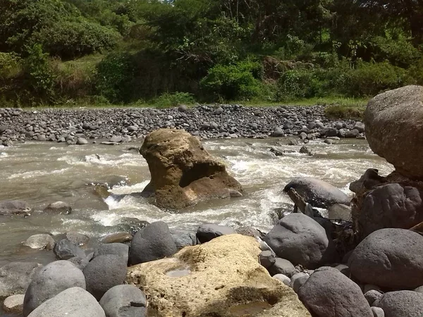 Hermosa toma de una formación rocosa en medio de un río con un bosque en el fondo — Foto de Stock