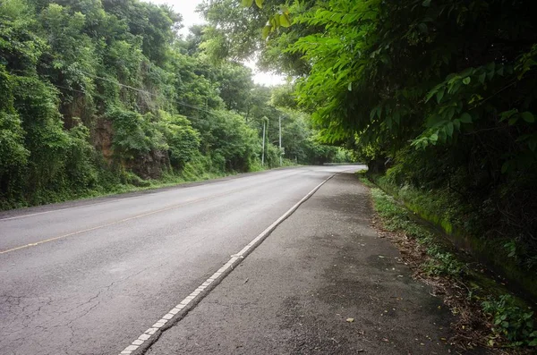 Eine Kurvenreiche Straße Ist Vom Grün Eines Waldes Auf Dem — Stockfoto