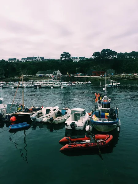 Вертикальний Знімок Різноманітних Човнів Тілі Води Біля Порту Оточеного Будинками — стокове фото