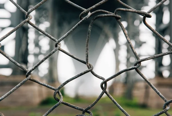 Zincir bağlantı çit seçici closeup çekim — Stok fotoğraf