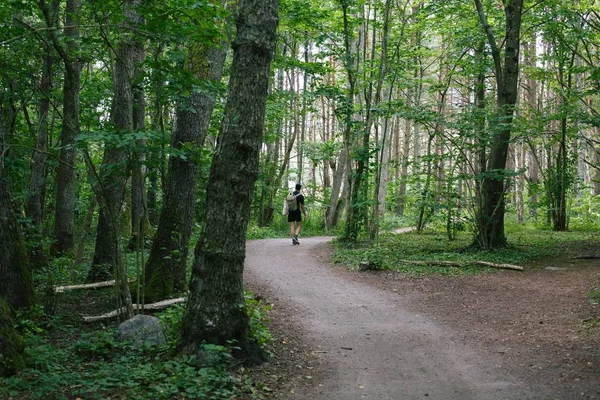 Hombre con una mochila caminando por un sendero en medio del bosque —  Fotos de Stock