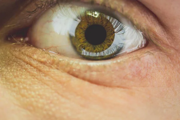 Nahaufnahme eines grünen und gelben Auges mit der Reflexion eines Lichts — Stockfoto