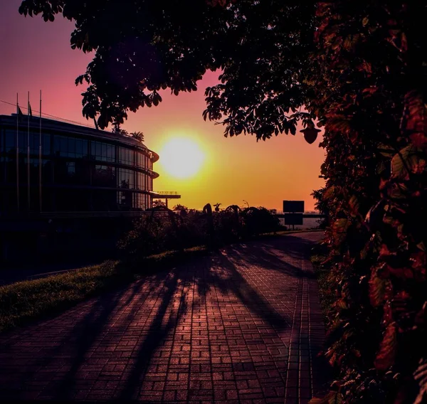 Vacker bild av en park med fantastisk grönska vid solnedgången — Stockfoto