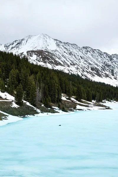Vertical shot of a frozen sea near trees and a snowy mountain in the distance under a cloudy sky