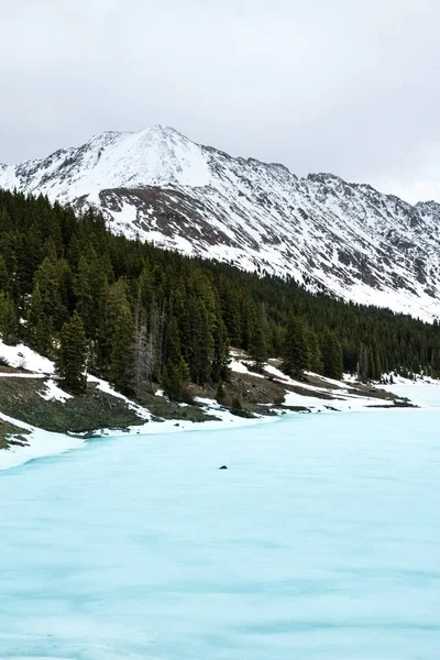 Vertikale Aufnahme eines gefrorenen Meeres in der Nähe von Bäumen und eines schneebedeckten Berges in der Ferne unter wolkenverhangenem Himmel — Stockfoto