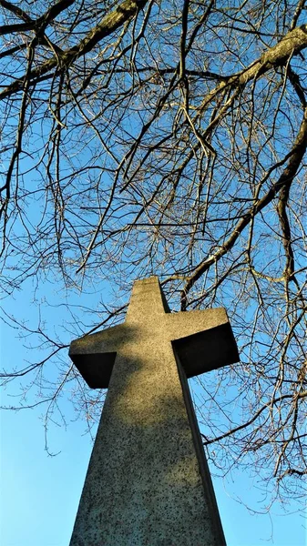 Vertical low angle shot of stone made cross statue with branches and clear sky in the background — Stock Photo, Image
