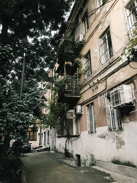 Binaların ve ağaçların ortasında dar bir arka sokak dikey çekim — Stok fotoğraf
