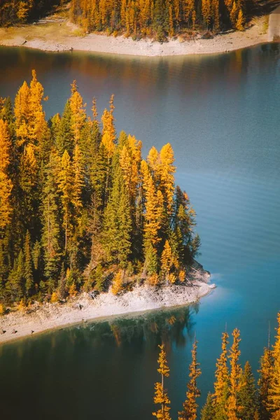 Vertikální záběr vody uprostřed břehů s vysokými žlutými listnatými stromy — Stock fotografie