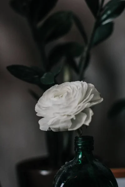 Primo piano verticale selettivo di una rosa bianca in una bottiglia di vetro — Foto Stock