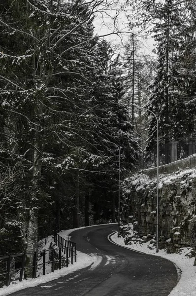 森林里的雪路 — 图库照片