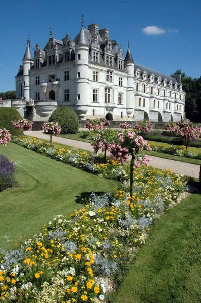 在法国切农索城堡附近的草地上，美丽而垂直地绽放着五彩缤纷的花朵 — 图库照片