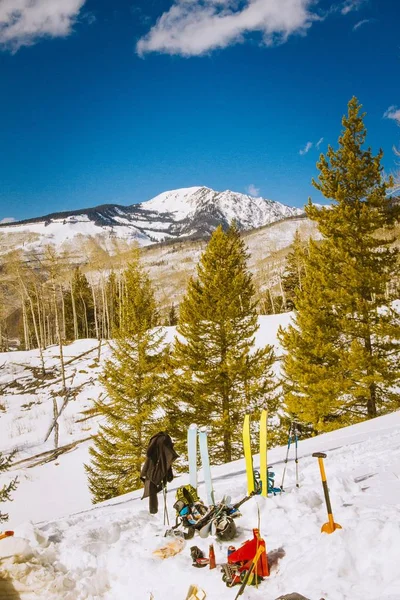 Tiro Vertical Esquis Neve Perto Das Árvores Com Montanhas Nevadas — Fotografia de Stock