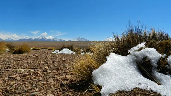 Schöne Aufnahme von Schneeflächen auf trockenen Gräsern in einem mit Bergen und klarem Himmel abgeriegelten Gebiet — Stockfoto