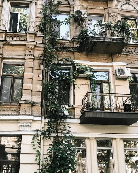 Colpo verticale di un edificio con balconi e finestre vicino ai rami delle piante durante il giorno — Foto Stock