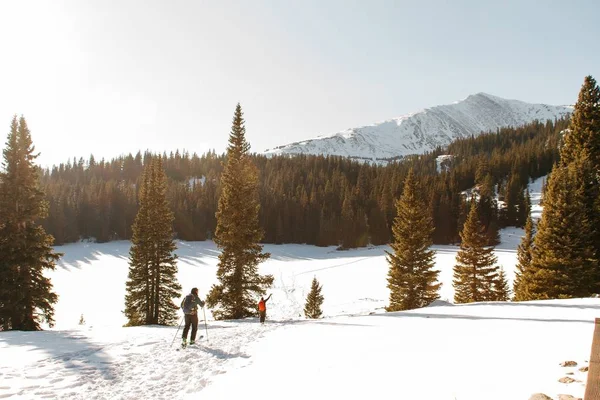 Emberek sétálnak egy havas dombon fák közelében egy havas hegy és egy tiszta ég a háttérben — Stock Fotó