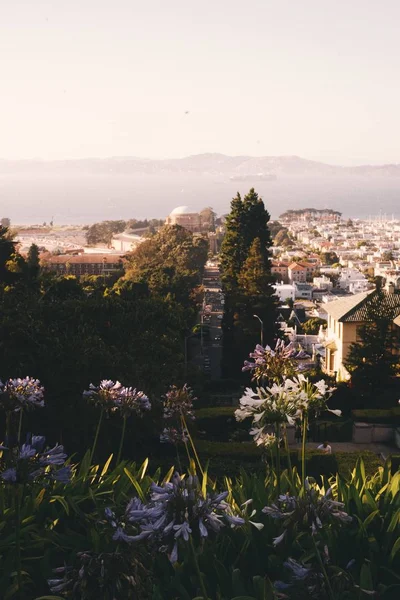 San Francisco Şehrinde Yeşil Sahne Güzel Bir Çekim — Stok fotoğraf