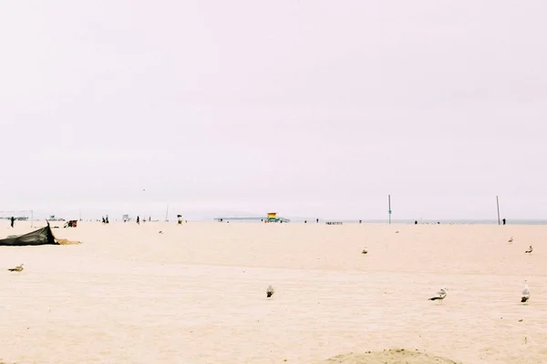 Schöne Aufnahme eines leeren Strandes an einem sonnigen Tag — Stockfoto