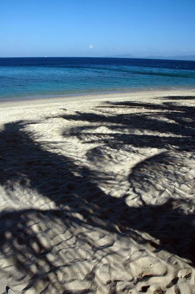 Vertikale Aufnahme der Reflexion von Palmen an einer sandigen Meeresküste — Stockfoto