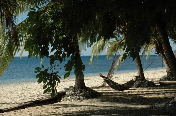 Una Amplia Toma Una Hamaca Colgando Árboles Tropicales Junto Playa — Foto de Stock