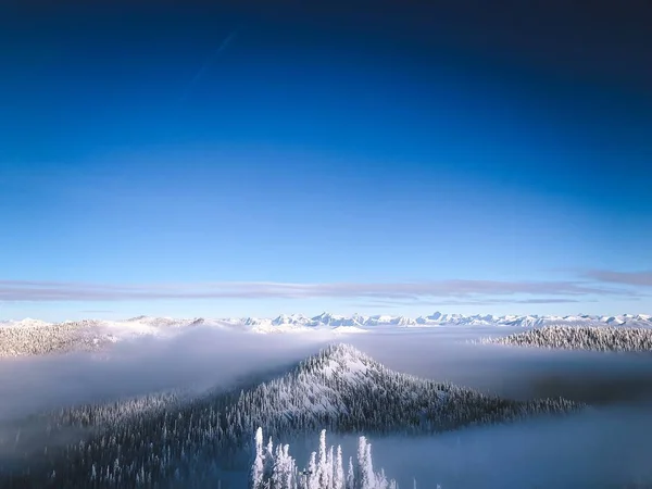 Foto aérea de cumbres nevadas con árboles sobre la nube con un cielo despejado en el fondo — Foto de Stock