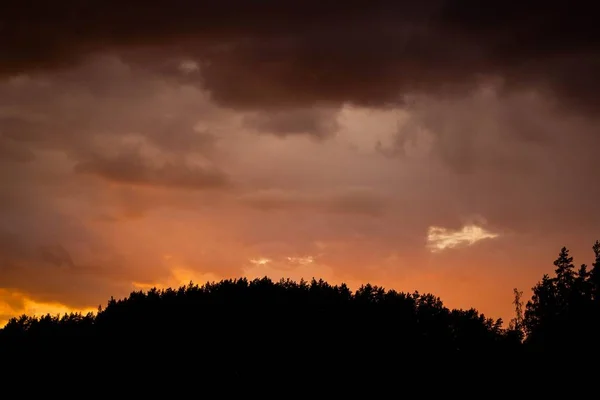 Wide silhouette shot of trees under an orange sky during sunset — Stock Photo, Image