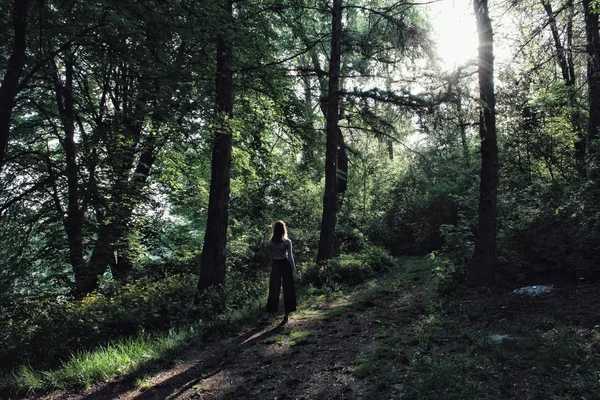 Одинокая женщина, стоящая рядом с высоким деревом, глядя на солнечные лучи в зеленом красивом лесу — стоковое фото