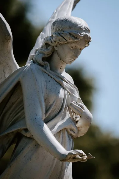 Plan vertical d'une statue d'ange femelle avec un fond flou — Photo